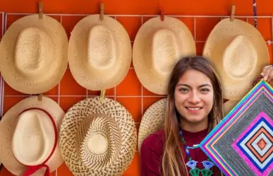 Impulsan cultivo de palma jipi en Yucatán para fortalecer a artesanos de Campeche