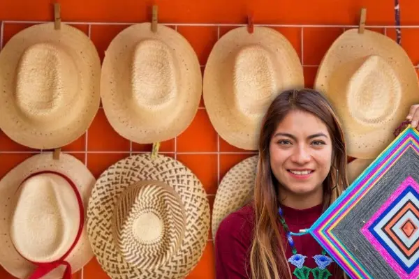 Impulsan cultivo de palma jipi en Yucatán para fortalecer a artesanos de Campeche