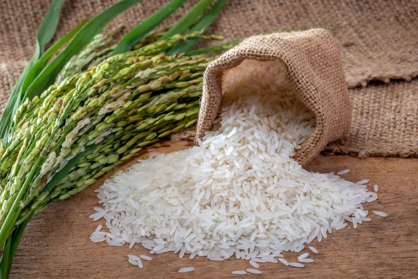¿Buscas arroz que no se pegue? La Profeco tiene la recomendación perfecta que no querrás perderte. Foto: Canva