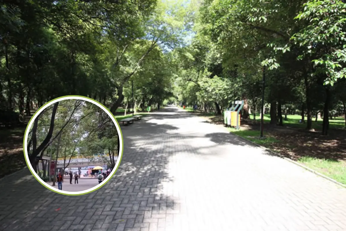 Extorsionador en el Bosque de Chapultepec. Foto: @alikael18 | Canva