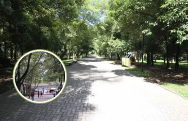 Extorsiones en CDMX: esto cobran por dejarte estar en Chapultepec y así puedes denunciar