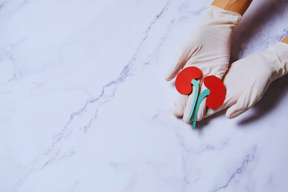 Imagen ilustrativa de donación de órganos. Foto: Canva