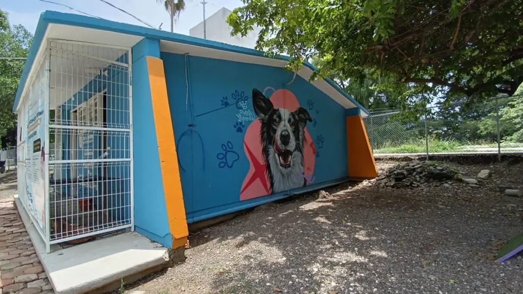 Parques para perros: ¿por qué son la mejor opción en las zonas urbanas?