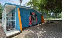 Parques para perros: ¿por qué son la mejor opción en las zonas urbanas?