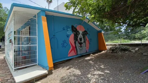 Parques para perros: ¿por qué son la mejor opción en las zonas urbanas?