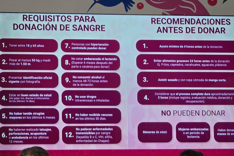imagen-cuerpo imagen-cuerpo