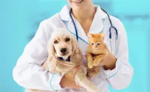 Gobierno de Zuazua organiza jornada gratuita de esterilización de mascotas