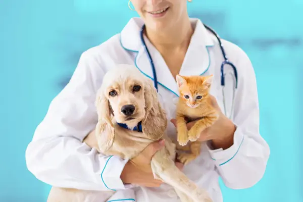 Gobierno de Zuazua organiza jornada gratuita de esterilización de mascotas