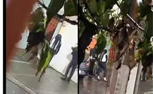 VIDEO | Mujer lleva mariachi bajo la lluvia en Tlalpan... ¡y su amor nunca salió!