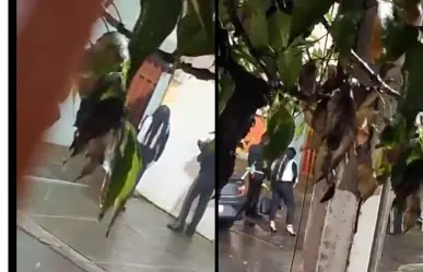 VIDEO | Mujer lleva mariachi bajo la lluvia en Tlalpan... ¡y su amor nunca salió!