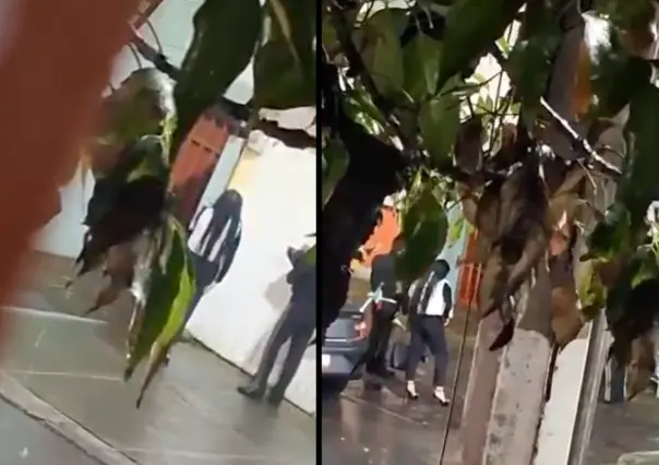 VIDEO | Mujer lleva mariachi bajo la lluvia en Tlalpan... ¡y su amor nunca salió!