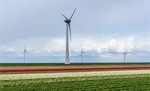 Gobierno de Tamaulipas y CFE buscan en el norte donde instalar parques eólicos