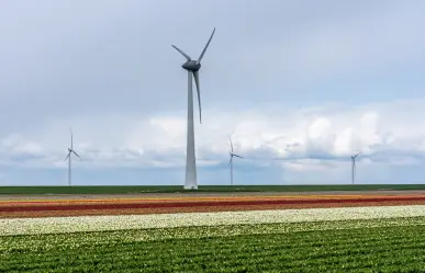 Gobierno de Tamaulipas y CFE buscan en el norte donde instalar parques eólicos