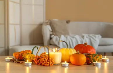Renueva tu hogar en otoño con poco dinero: 3 consejos imperdibles
