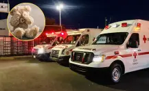 Saltillo: Abusa padrastro de menor de 6 años, es buscado por autoridades