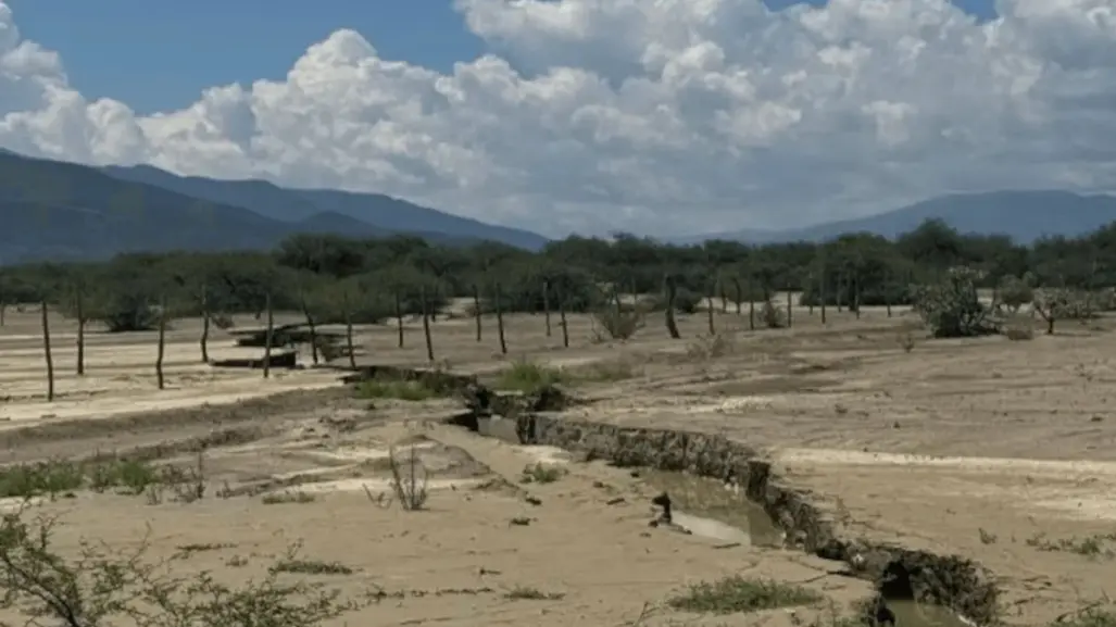 Tamaulipas con actividad sísmica en los últimos dos años, estos son los que se han registrado