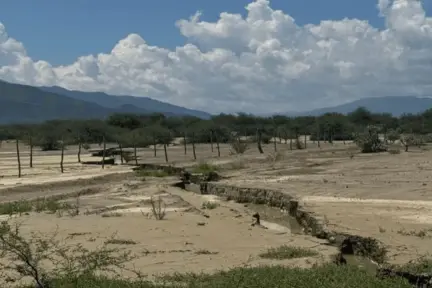 Tamaulipas con actividad sísmica en los últimos dos años, estos son los que se han registrado
