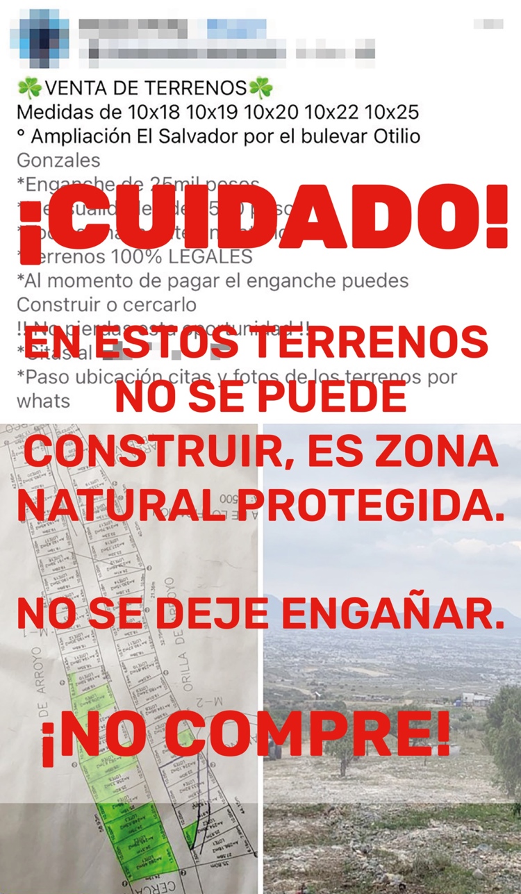 imagen-cuerpo