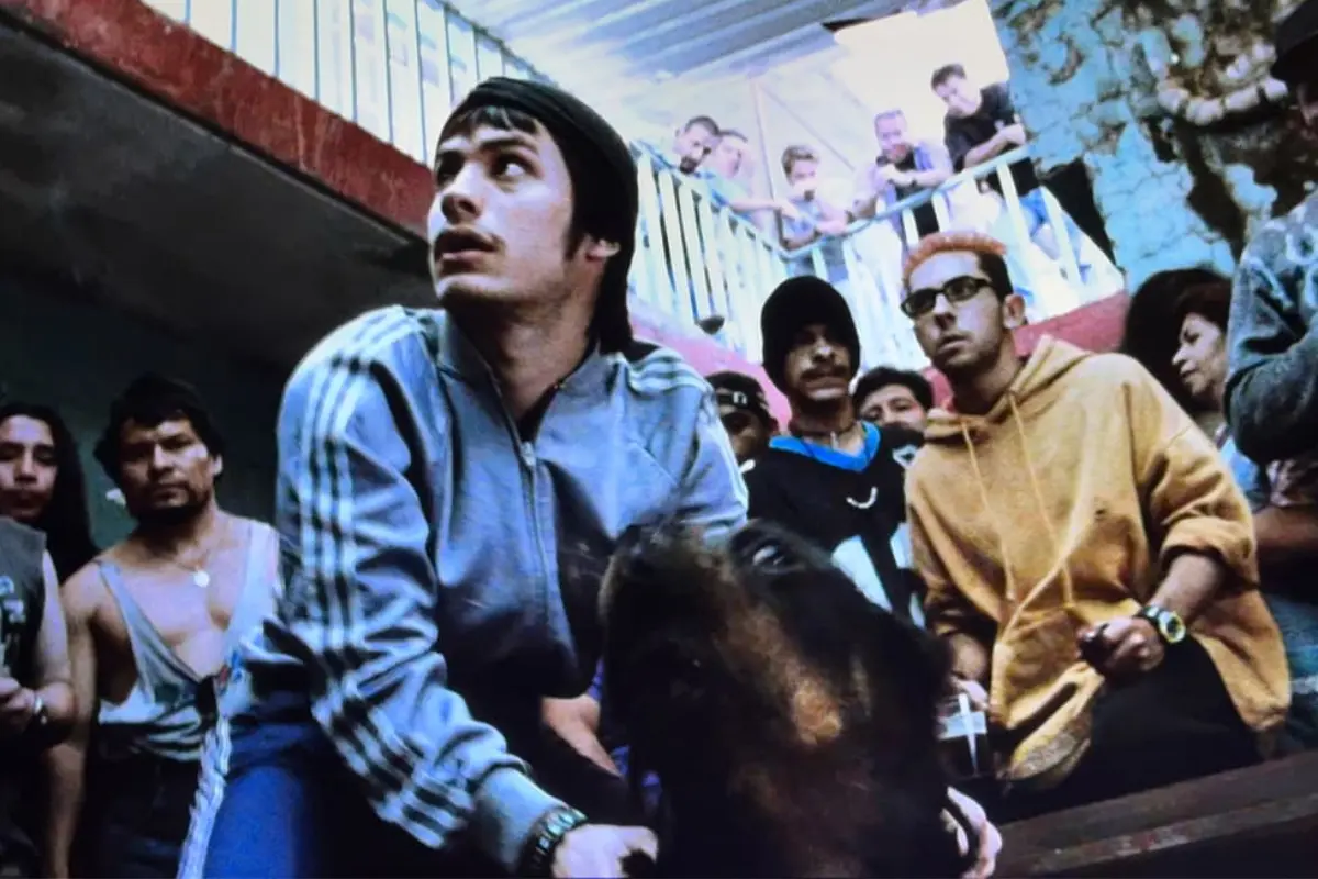 A 25 años de su estreno, Amores Perros vuelve al cine acompañado de un libro conmemorativo con contenido exclusivo. Foto: Canva