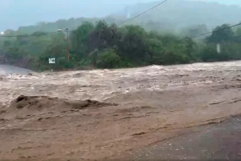 Foto: Los Realeños de San Antonio.