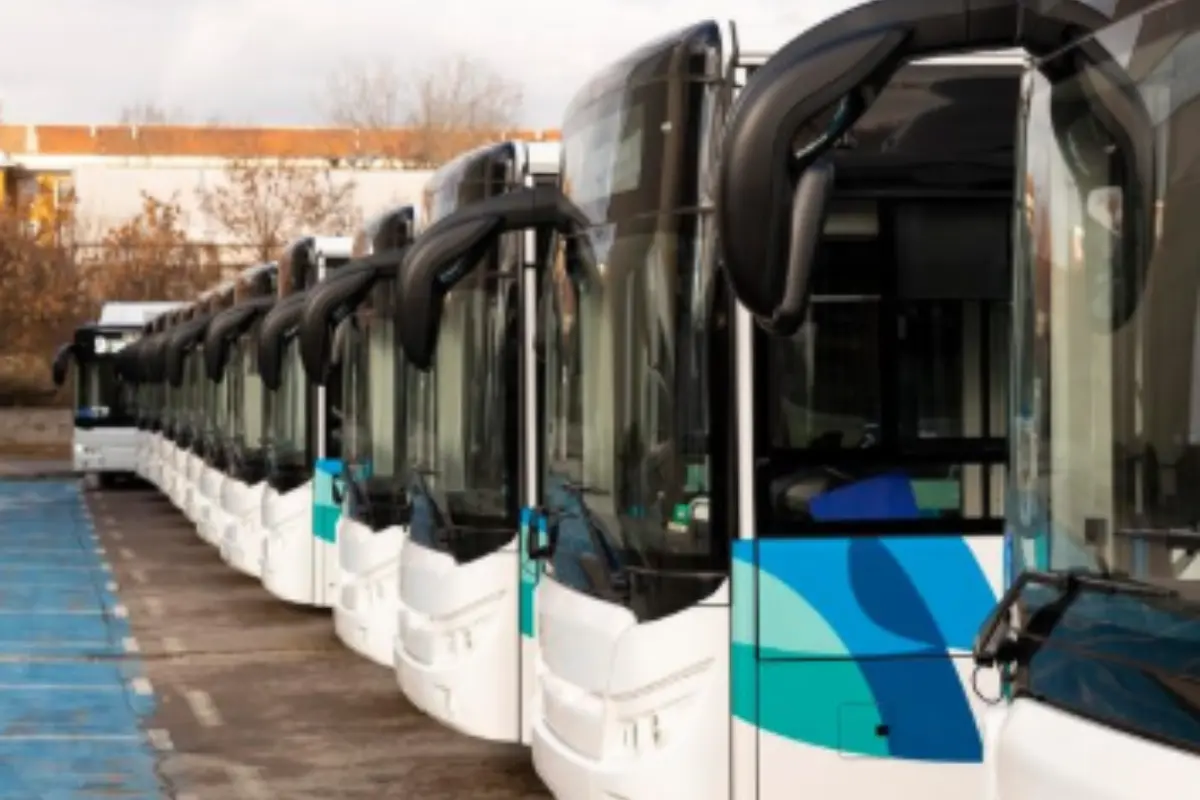Proyecto piloto, la adquisición de transporte eléctrico | Foto: Perla Herrera