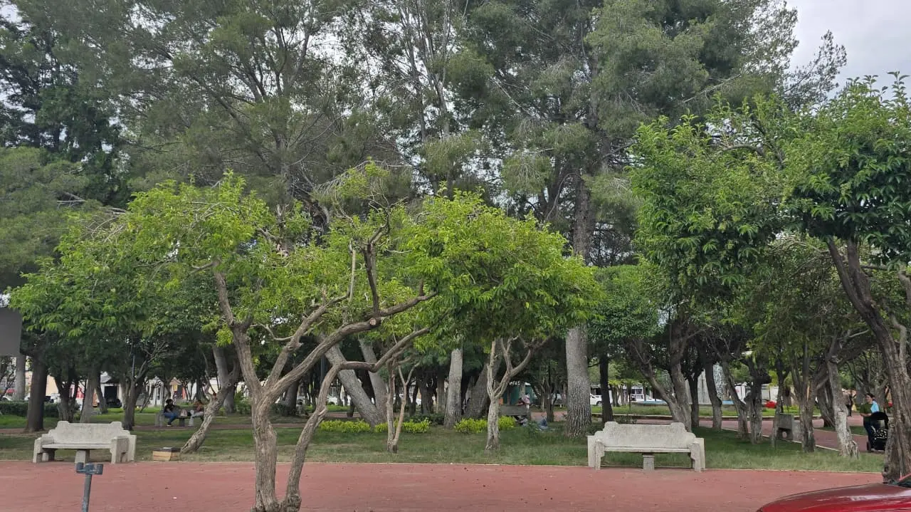 Foto: Gerardo Lares | Conoce cuál es el jardín de Durango donde puedes encontrar tiendas de indumentaria médica.
