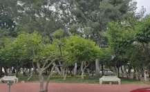 Este es el jardín de Durango  donde puedes encontrar tiendas de indumentaria médica 
