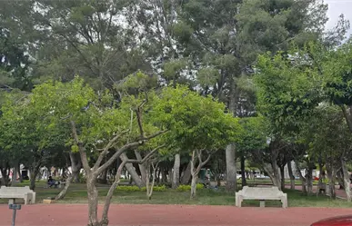 Este es el jardín de Durango  donde puedes encontrar tiendas de indumentaria médica 