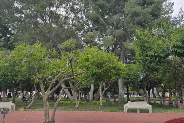 Este es el jardín de Durango  donde puedes encontrar tiendas de indumentaria médica 