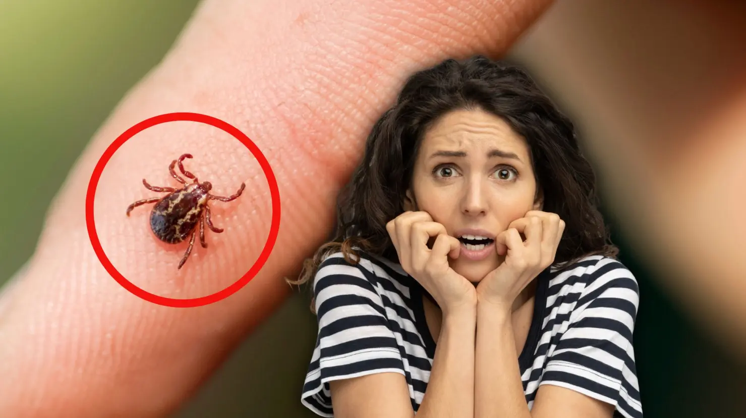 mujer con miedo y a lado una garrapata Foto: Canva