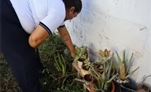 Gobierno de Yucatán impulsa el programa Escuela Sustentable