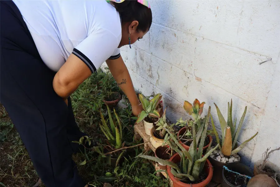 Gobierno de Yucatán impulsa el programa Escuela Sustentable