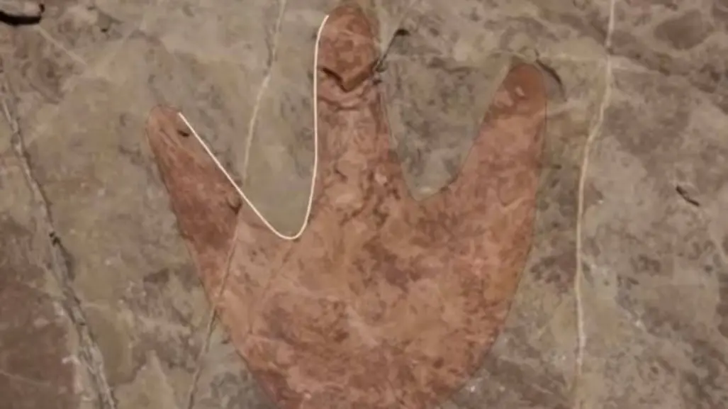 Aparecen huellas de dinosaurio, pinturas rupestres y observatorio prehispánico en Tehuacán, Puebla