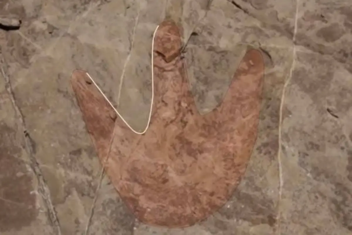 Huella de dinosaurio encontrada en Puebla Foto: Gobierno de Tehuacán