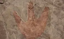 Aparecen huellas de dinosaurio, pinturas rupestres y observatorio prehispánico en Tehuacán, Puebla