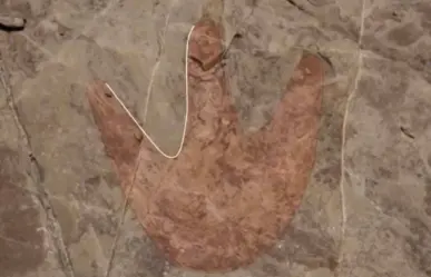 Aparecen huellas de dinosaurio, pinturas rupestres y observatorio prehispánico en Tehuacán, Puebla