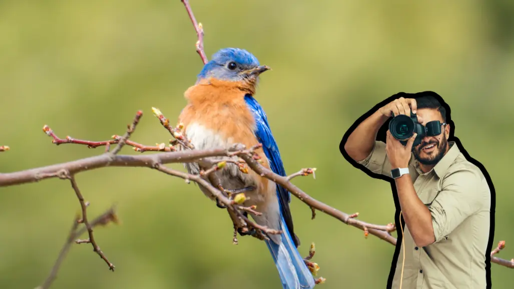 UABCS invita a concurso de fotografía de aves en Los Cabos