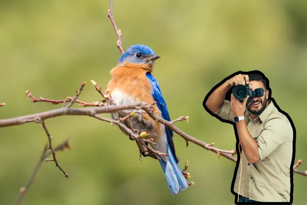 UABCS invita a concurso de fotografía de aves en Los Cabos