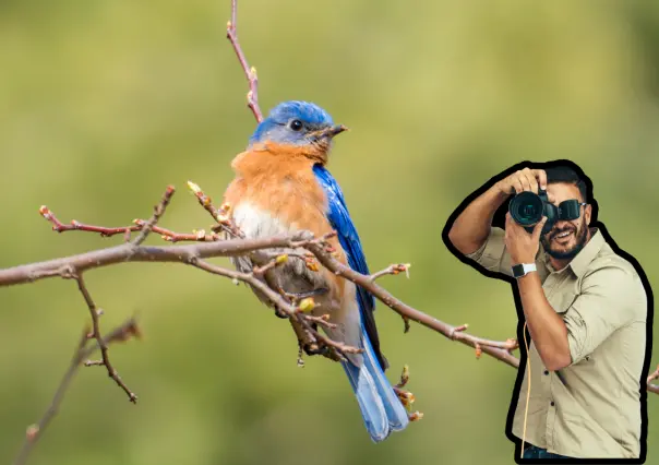 UABCS invita a concurso de fotografía de aves en Los Cabos