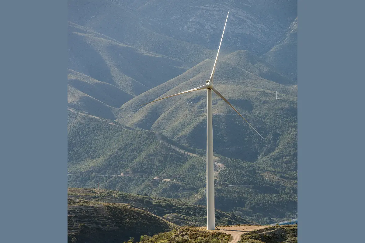 Estos proyectos de energía eólica posicionan a Tamaulipas como líder nacional | Foto: Perla Herrera