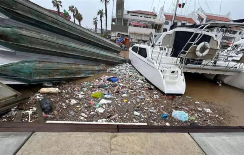 Foto: Noticias Los Cabos Primero