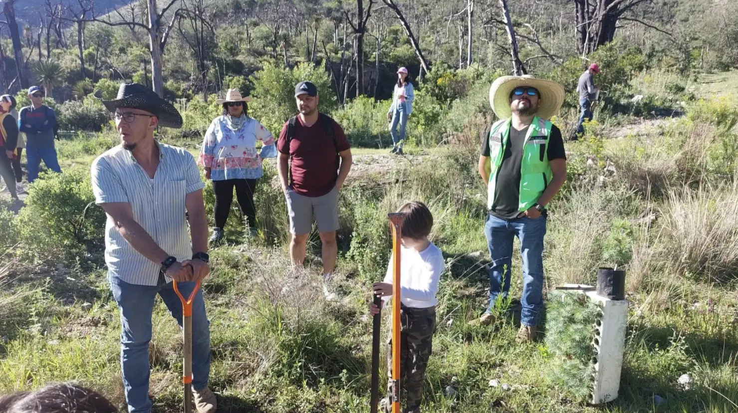 Reforestación de Saltillo Ecológico deja huella en la Sierra de Arteaga / Foto: Saltillo Ecológico | Canva