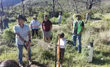 Saltillo ecológico fomenta la reforestación con más de 10 mil pinos en la Sierra de Arteaga