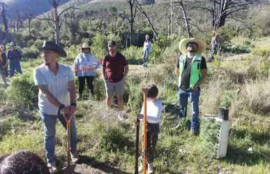 Saltillo ecológico fomenta la reforestación con más de 10 mil pinos en la Sierra de Arteaga