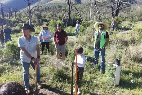 Saltillo ecológico fomenta la reforestación con más de 10 mil pinos en la Sierra de Arteaga