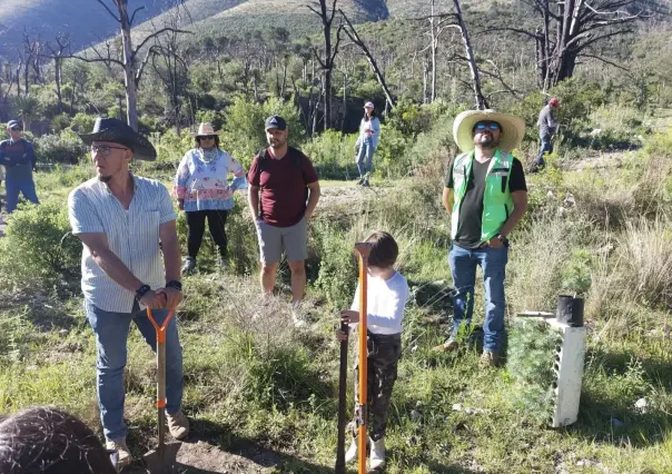 Saltillo ecológico fomenta la reforestación con más de 10 mil pinos en la Sierra de Arteaga