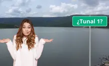¿Por qué no existe la Presa Tunal 1 en Durango? Esto se sabe