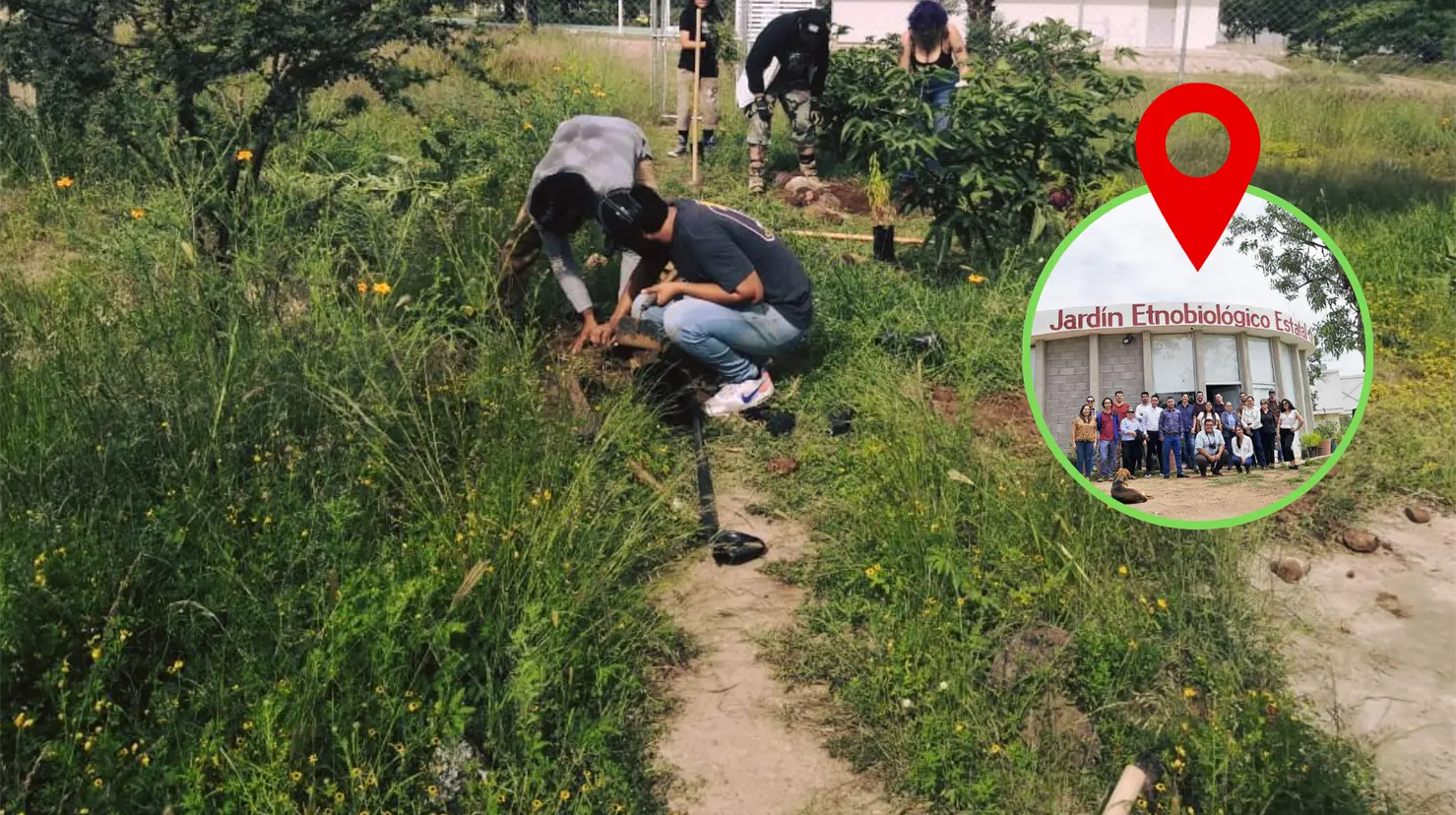 Existe en Durango un jardín dedicado a la investigación. Foto: Jardín Etnobiológico Estatal de Durango.