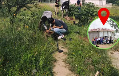 Este es el Jardín de Durango poco conocido que te ayudará a saber más sobre las plantas