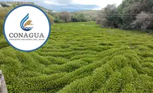 Lluvias darán un saneamiento natural al río Tunal, asegura Conagua